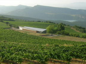 Bodega CASTELL D Bodega CASTELL D