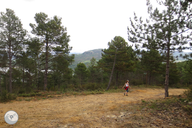 Camino del Barranc del Bosc y Roca Regina 1