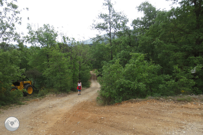 Camino del Barranc del Bosc y Roca Regina 1