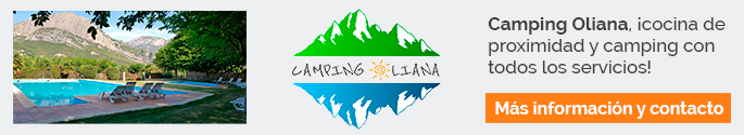 banner apadrina