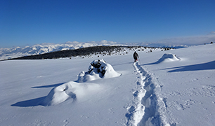 Raquetas de nieve