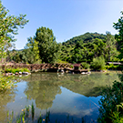 Centro de Fauna del Pont de Suert