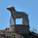 Concurso del "Gos d´Atura" (Perro Pastor) de Castellar de n´Hug