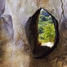 Cueva dels Muricecs (murciélagos)