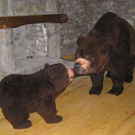 Museo del Oso de las Cavernas de Tella