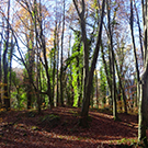 La Fageda d´en Jordà