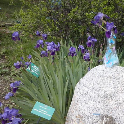 Jardín Botánico de Gombrèn