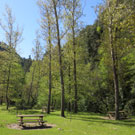 Área de picnic de Riugréixer