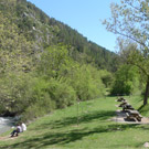 Área de picnic de Sant Joan del Avellanet