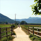 Vía verde del Carrilet Gerona-Olot