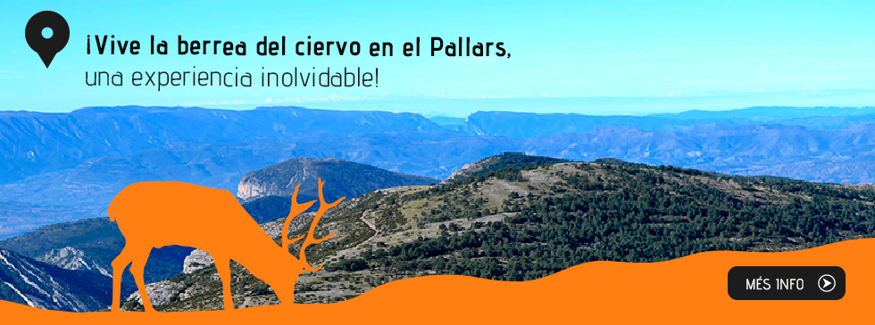 ¡Vive la berrea del ciervo en el Pallars,
una experiència inolvidable! ¡Vive la berrea del ciervo en el Pallars,
una experiència inolvidable!