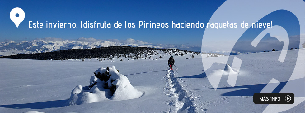 Este invierno, ¡disfruta de los Pirineos haciendo raquetas de nieve!