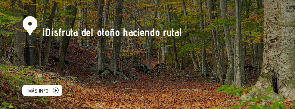 ¡Disfruta del otoño haciendo ruta!