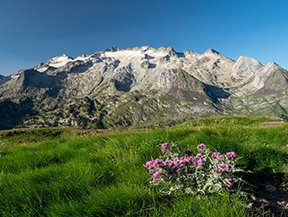 Montañas del Valle de Benasque (4 jornadas)