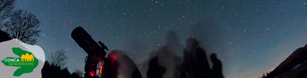 Noche de estrellas con un cuarto de luna