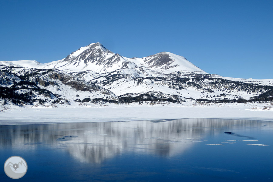 Raquetas de nieve 4