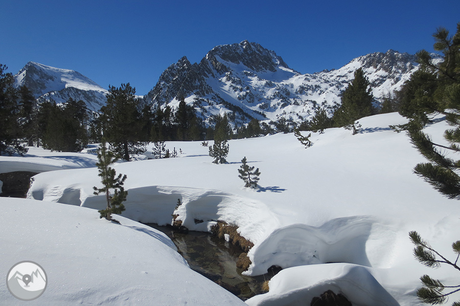 Raquetas de nieve 5