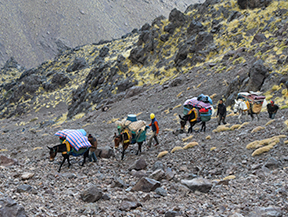 Trekking y ascensión al Toubkal (6 días)