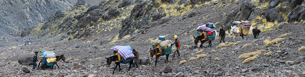 Trekking y ascensión al Toubkal (6 días)