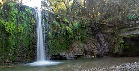 Bajo Llobregat