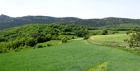 Baix Pallars