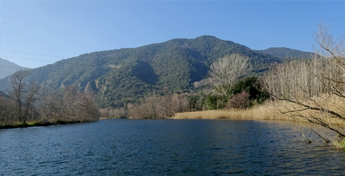 Depresión de la Selva