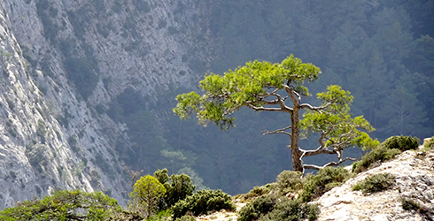 Els Ports y las sierras de Pàndols i Cavalls