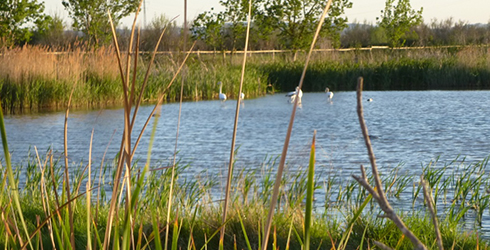 La llanura ampurdanesa