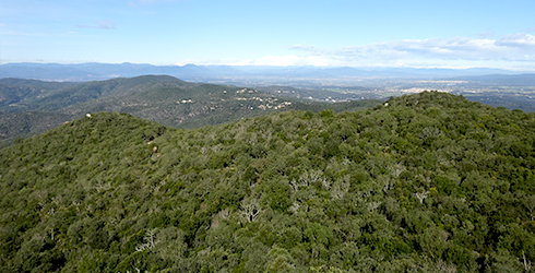 Ardenya-Cadiretes (Gironés)