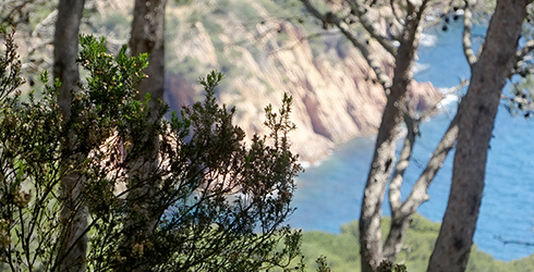 Montañas de Begur