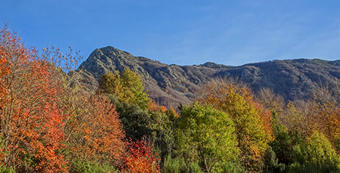 El Montseny