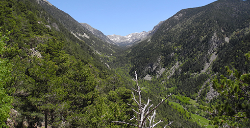 Parque Natural Valle de Madriu-Perafita-Claror