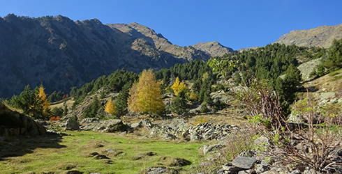 Parroquia de la Massana