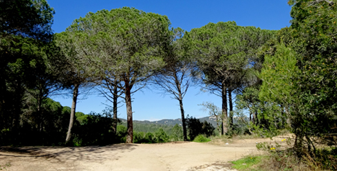 Sierra de Marina