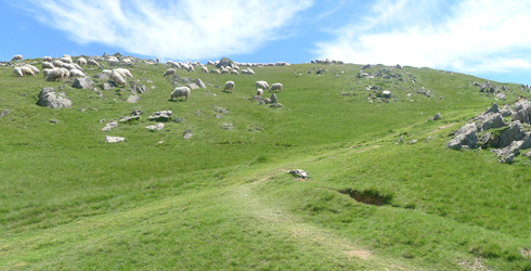 Valles Pirenaicos (Navarra)