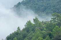 La niebla, elemento mágico en la zona de las Agujas de Montserrat.