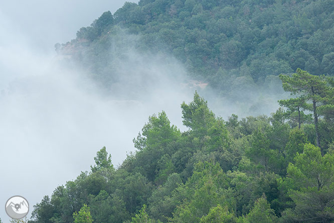 Vuelta a las Agujas de Montserrat desde Can Maçana 1 