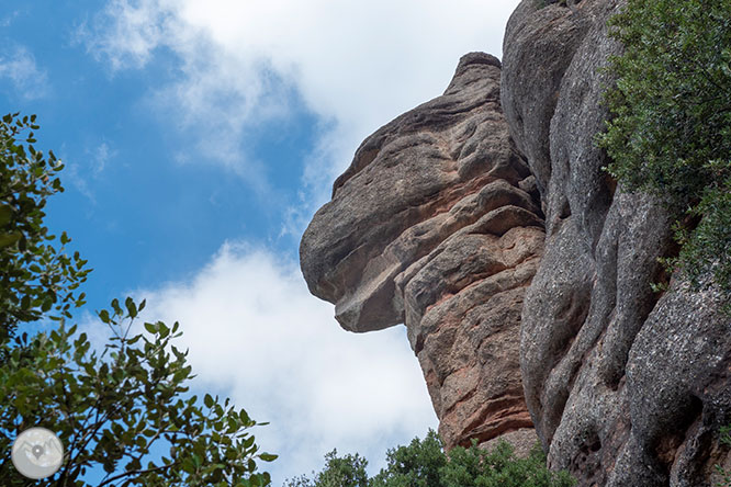 Vuelta a las Agujas de Montserrat desde Can Maçana 1 