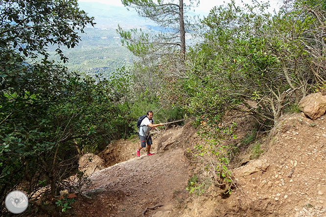 Vuelta a las Agujas de Montserrat desde Can Maçana 1 