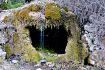 La fuente natural del Aiguaneix.