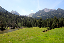 Llano del Planell d´Aigüestortes.