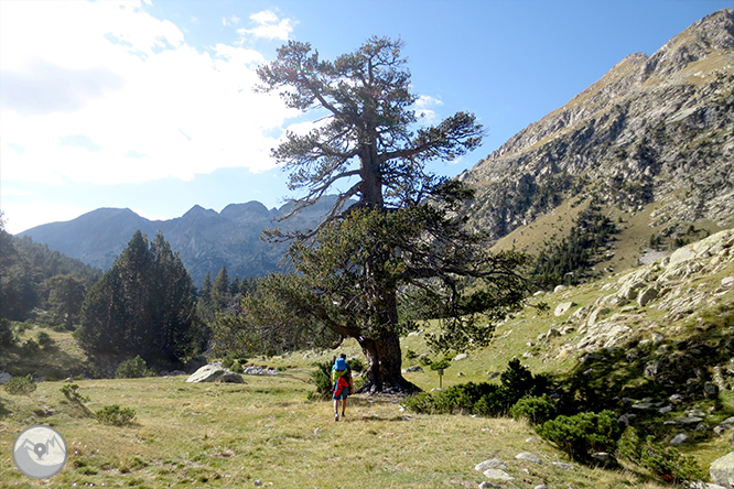 Estany Llong y Portarró de Espot desde Aigüestortes 1 