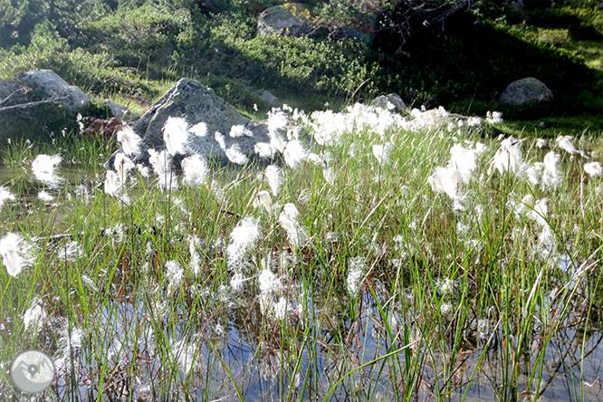 Estany Llong y Portarró de Espot desde Aigüestortes 1 