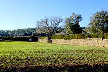 Campos de cereales en el camino del Puig.