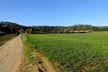 Sierra de Millàs.