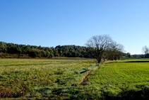 Campos de Mas Vidal.