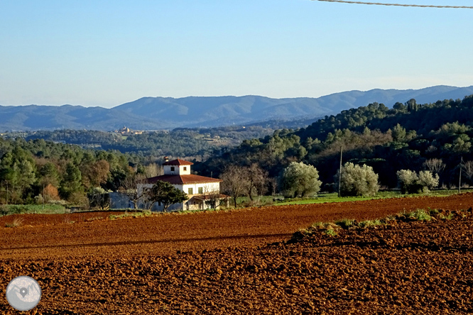 Al pie de las Gavarres desde Madremanya 1 