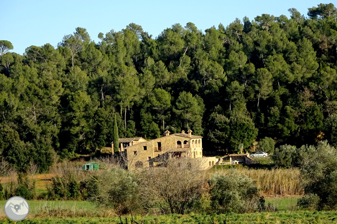 Al pie de las Gavarres desde Madremanya 1 