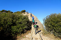 Último tramo de escaleras antes de la cima.