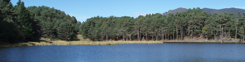 Bassa d´Oles y bosque de Varicauba